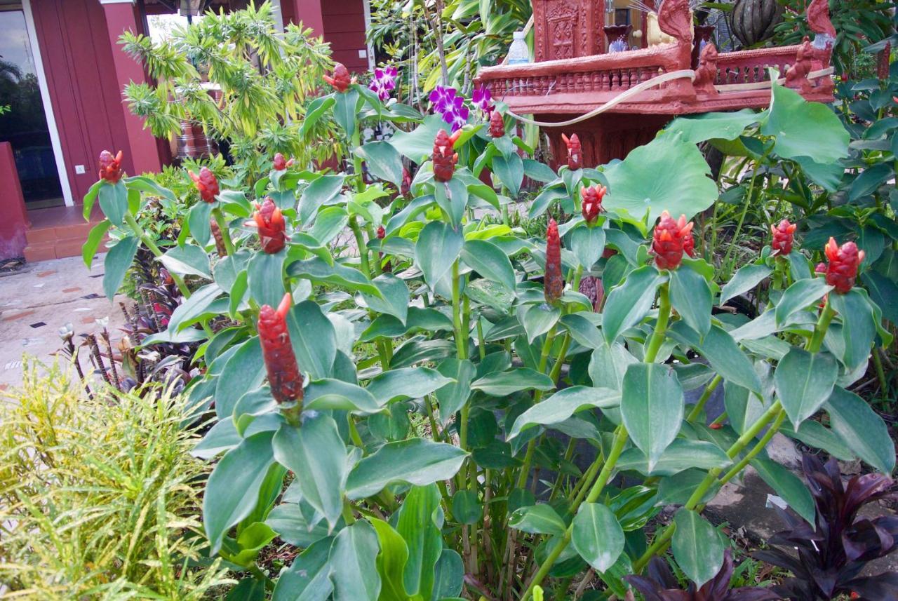 Phoumrumduol Bungalow Kampot Eksteriør bilde