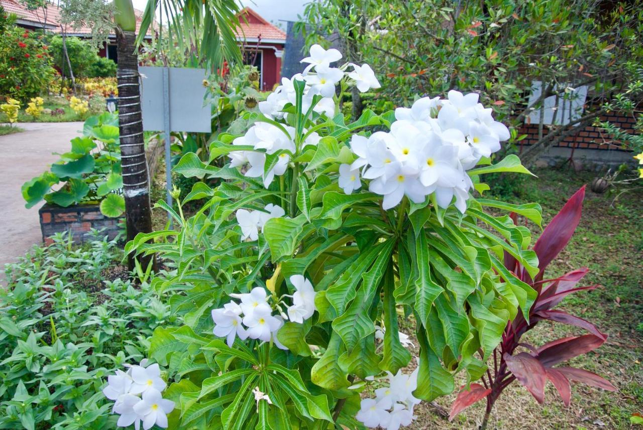 Phoumrumduol Bungalow Kampot Eksteriør bilde