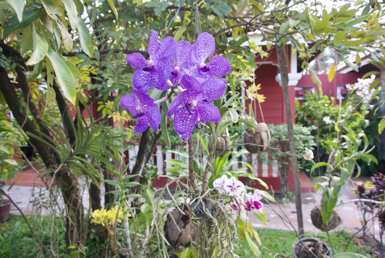 Phoumrumduol Bungalow Kampot Eksteriør bilde